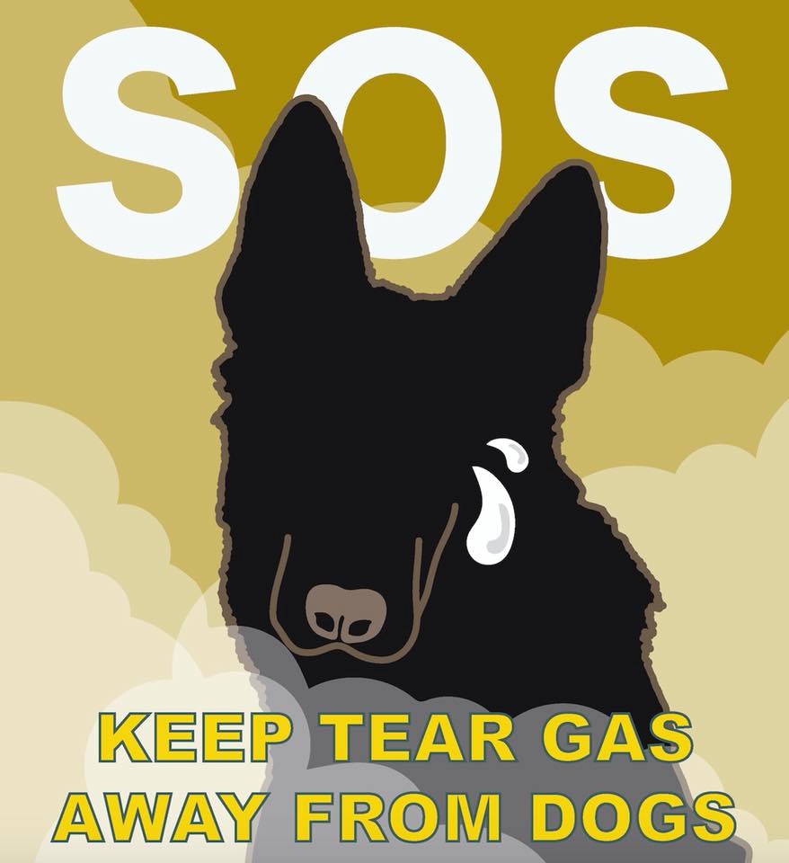 (Facebook@獸醫姐姐) (Facebook@獸醫姐姐)