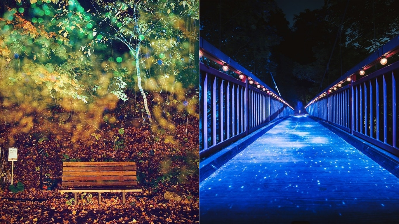 北海道 自然版team Lab 定山溪光影森林超美夜景免費入場