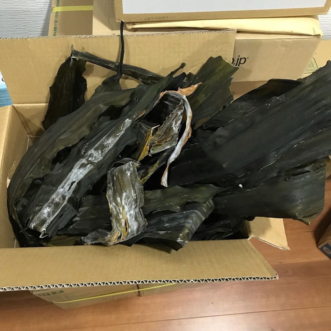 昆布冷知識 表面白色粉末是發霉抑或鹽分對人體健康有冇害 昆布冷知識 表面白色粉末是發霉抑或鹽分對人體健康有冇害