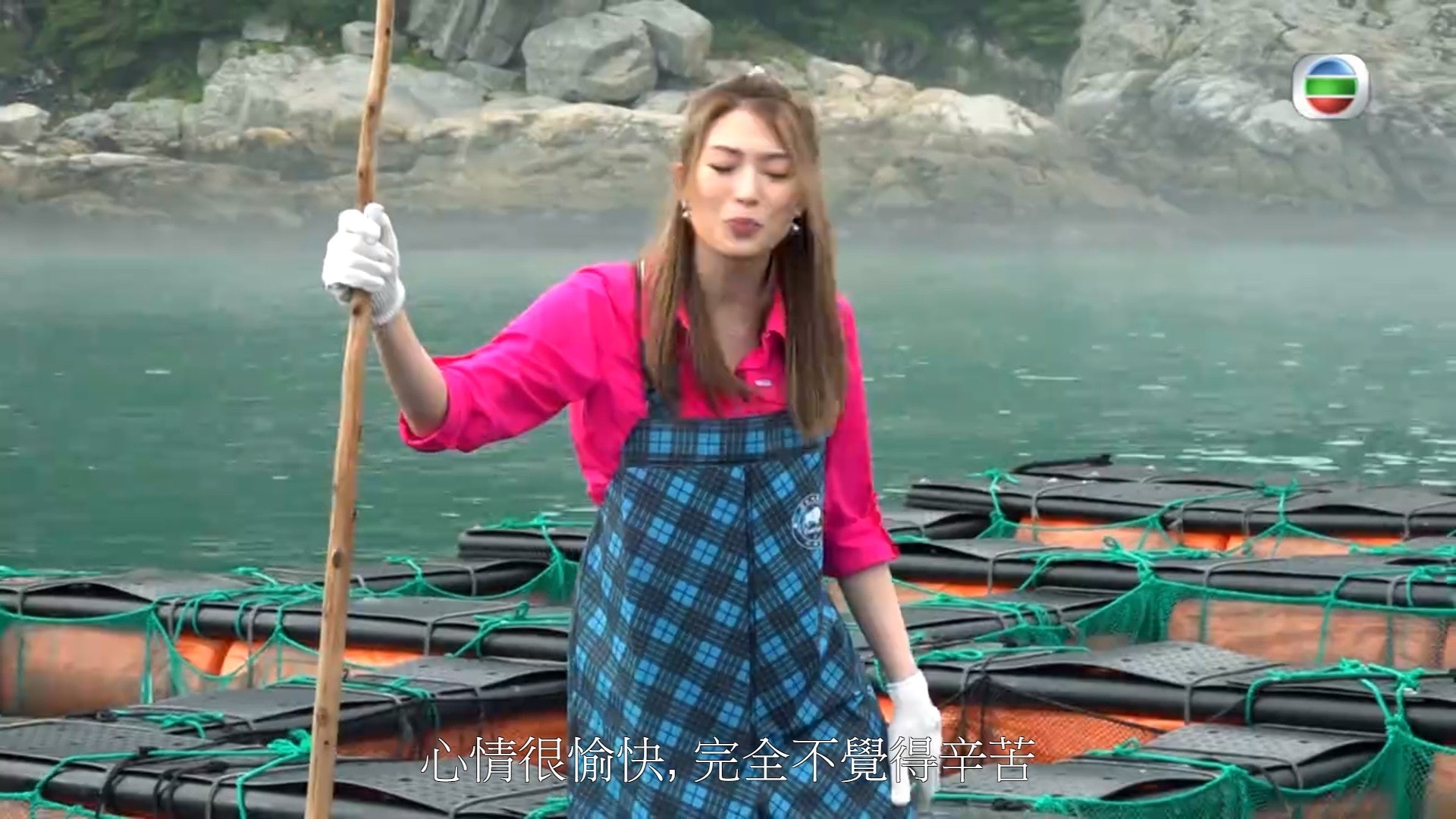 勞力又得!(電視截圖)