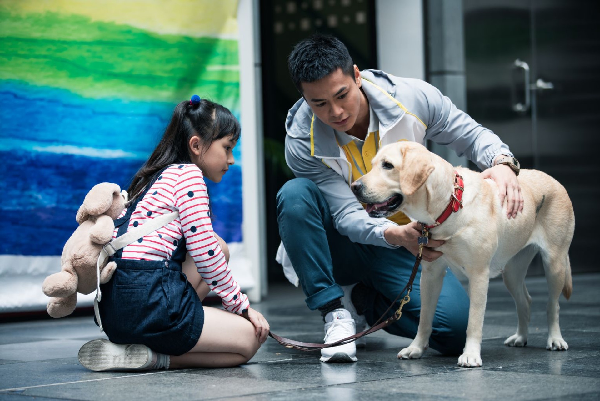 小Q正式成為了一隻合資格的導盲犬。(《小Q》劇照) 小Q正式成為了一隻合資格的導盲犬。(《小Q》劇照)
