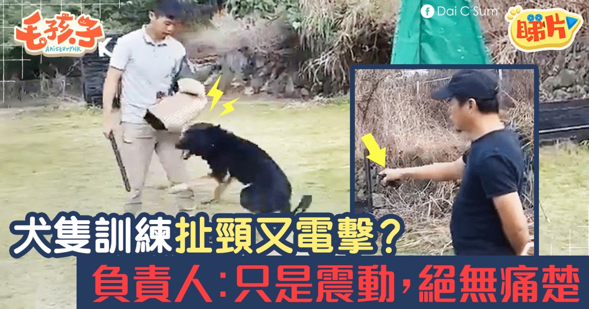 過去亦有犬隻訓練員,在訓犬過程裡粗暴對待狗隻。 過去亦有犬隻訓練員,在訓犬過程裡粗暴對待狗隻。