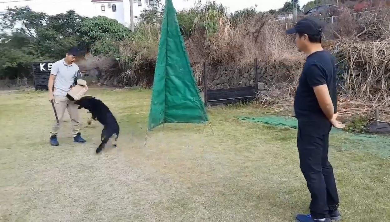他強調訓練中未曾「電擊」狗隻,只是用搖控中的震鍵功能「震動」狗狗而已。(影片截圖) 他強調訓練中未曾「電擊」狗隻,只是用搖控中的震鍵功能「震動」狗狗而已。(影片截圖)