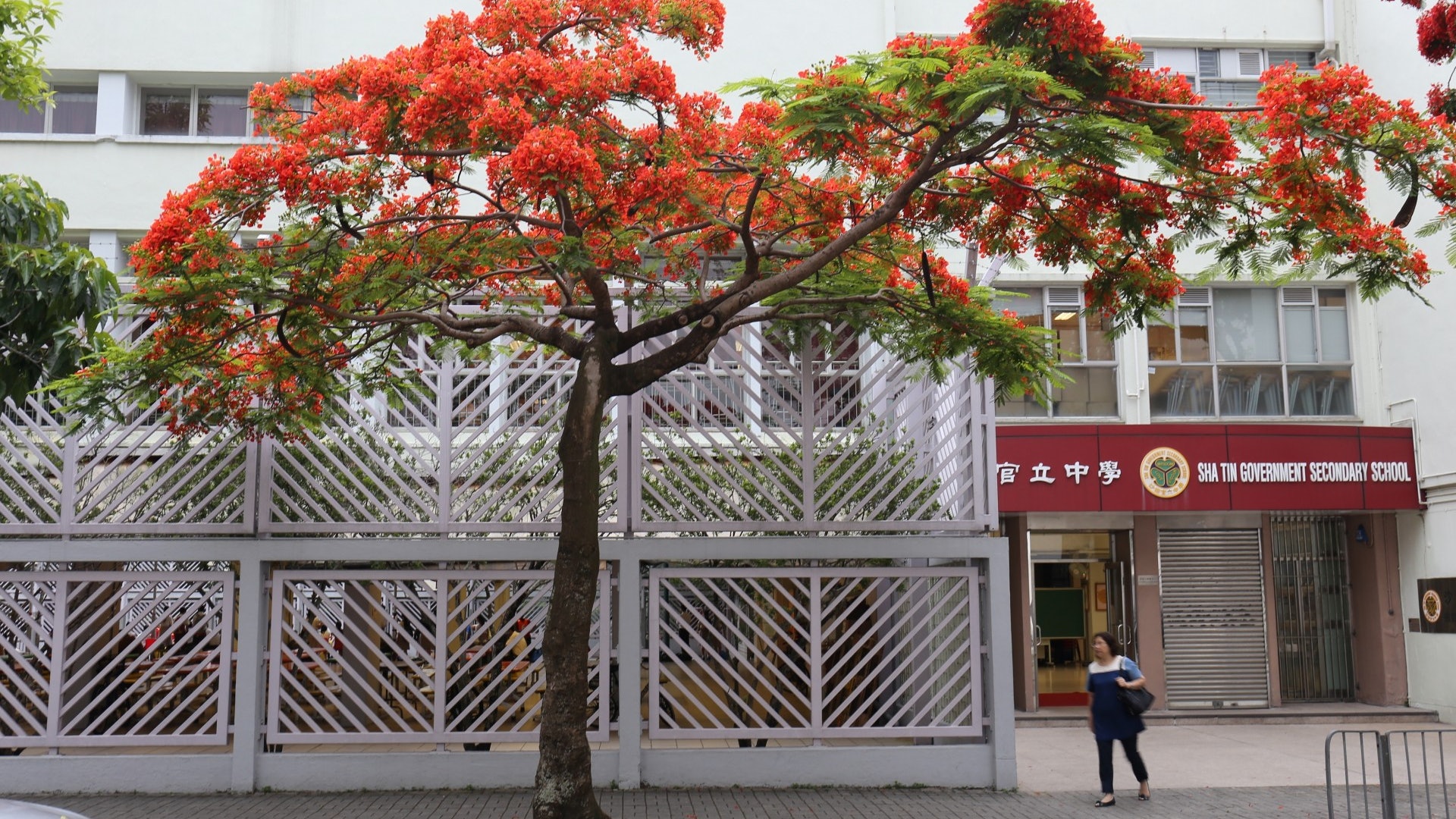 網傳沙田官中離世學生涉太子站衝突 校長澄清:與反修例無關 網傳沙田官中離世學生涉太子站衝突 校長澄清:與反修例無關