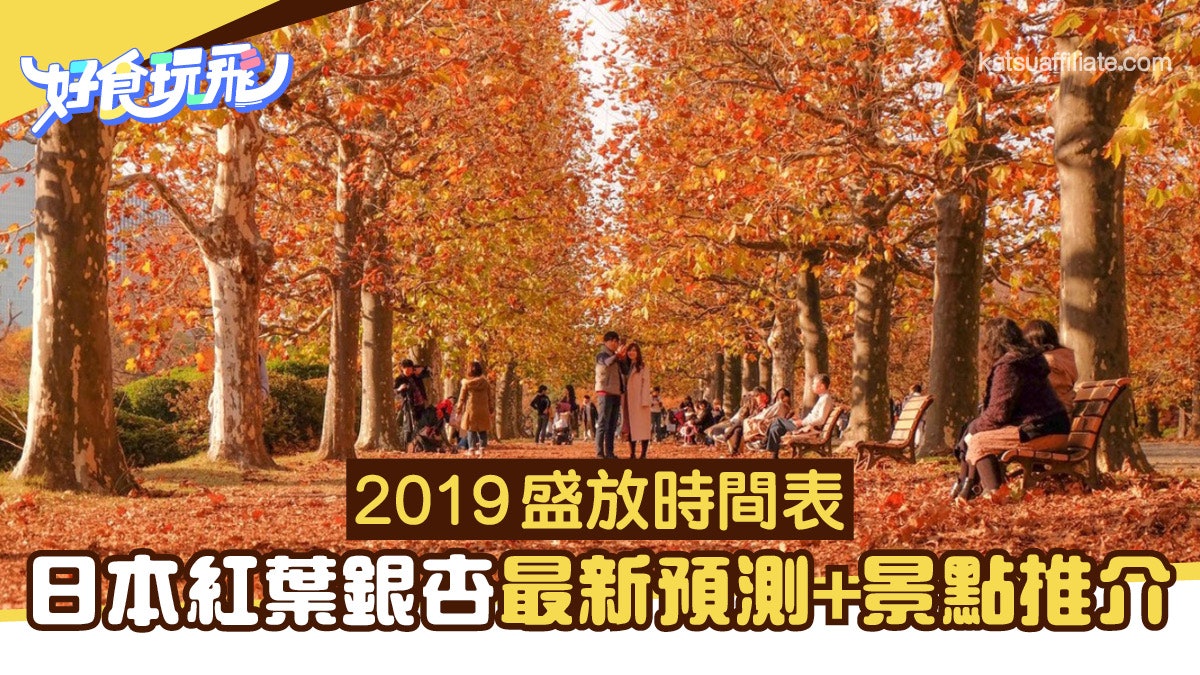 日本紅葉19 最強日本楓葉銀杏預報 最佳賞楓期景點推介 香港01 旅遊 日本紅葉19 最強日本楓葉銀杏預報 最佳賞楓期景點推介 香港01 旅遊