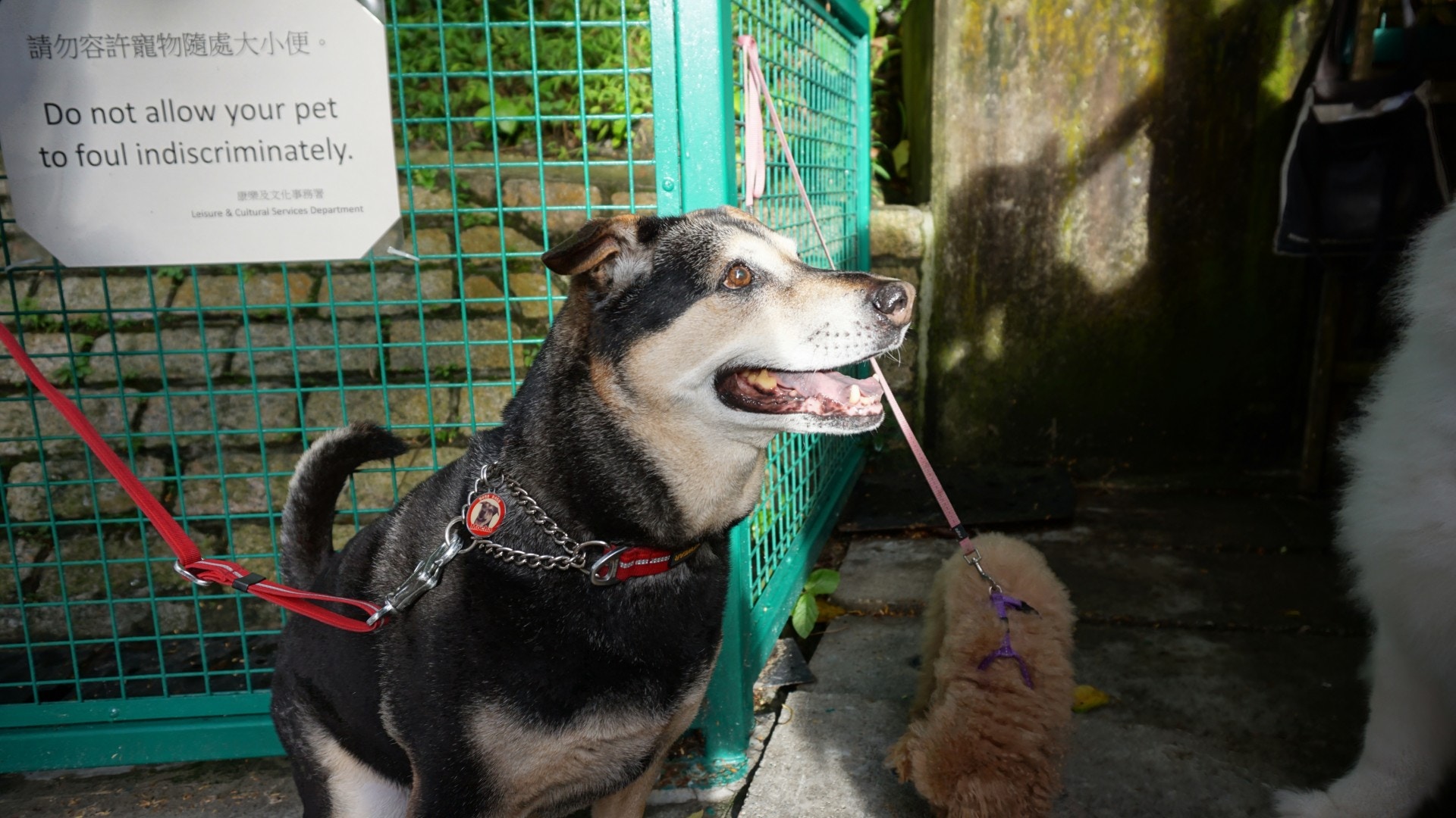 有寵主狠批公園「無嘢好」。(何穎琪攝) 有寵主狠批公園「無嘢好」。(何穎琪攝)