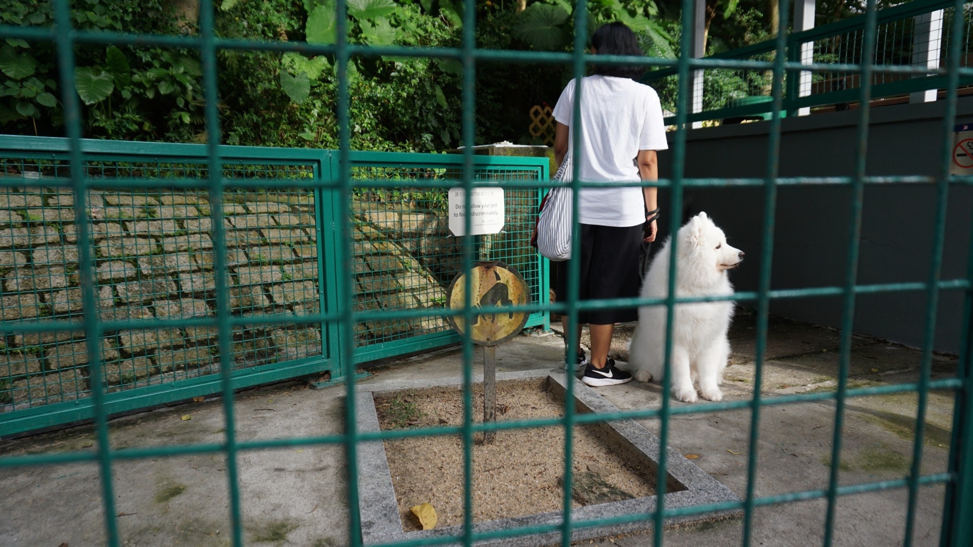 有寵主會特地帶狗狗到沙池如廁。(何穎琪攝) 有寵主會特地帶狗狗到沙池如廁。(何穎琪攝)