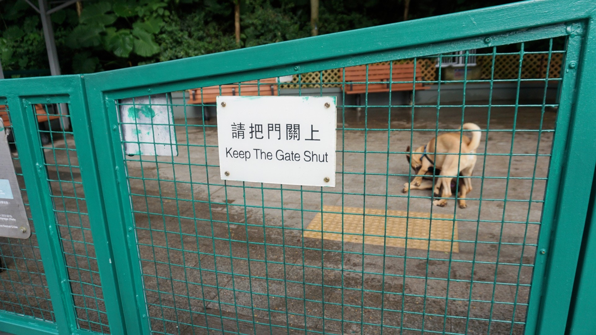公園門口設有閘門,防止狗狗衝出馬路。(何穎琪攝) 公園門口設有閘門,防止狗狗衝出馬路。(何穎琪攝)