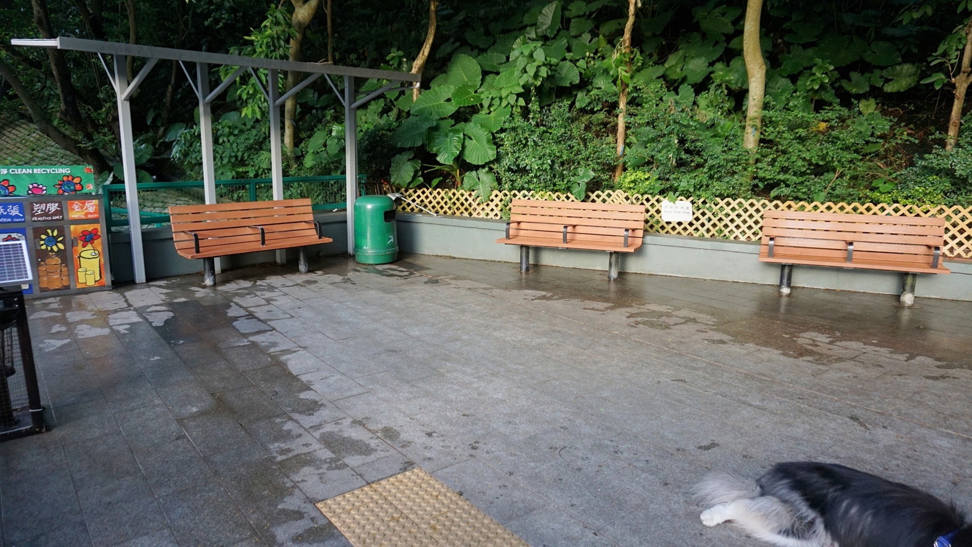 園內設施寥寥可數,僅得數項基本設施,如長椅。(何穎琪攝) 園內設施寥寥可數,僅得數項基本設施,如長椅。(何穎琪攝)