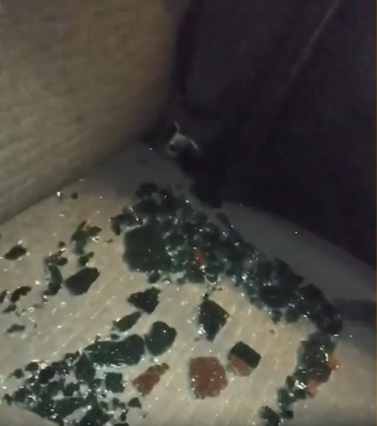 米雅聲稱有人朝她們開槍,打破車窗玻璃。(Youtube影片截圖) 米雅聲稱有人朝她們開槍,打破車窗玻璃。(Youtube影片截圖)