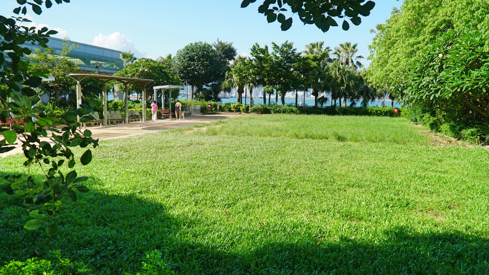 中西區海濱長廊(上環段)設有狗公園,面積約1500平方米。(何穎琪攝) 中西區海濱長廊(上環段)設有狗公園,面積約1500平方米。(何穎琪攝)