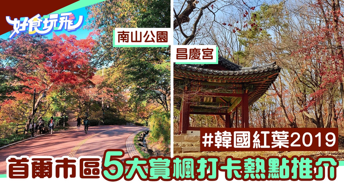 韓國紅葉19 首爾市區5大賞楓打卡熱點南山公園不容錯過 香港01 旅遊