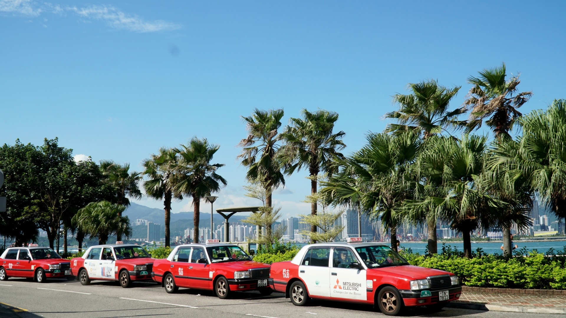 海濱長廊旁有不少的士停泊,不論離開或到訪亦不必走遠路。(何穎琪攝) 海濱長廊旁有不少的士停泊,不論離開或到訪亦不必走遠路。(何穎琪攝)