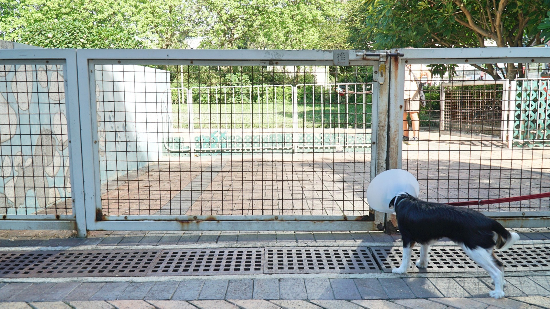 公園設有雙重閘門,防止狗狗衝出馬路。(何穎琪攝) 公園設有雙重閘門,防止狗狗衝出馬路。(何穎琪攝)