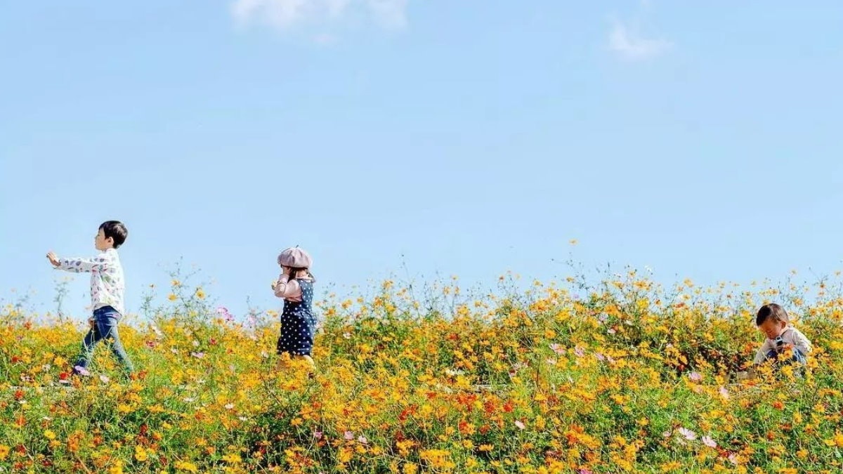 日本兄妹感情好到似小情人媽媽文青系攝影神助攻輕鬆ig爆紅 日本兄妹感情好到似小情人媽媽文青系攝影神助攻輕鬆ig爆紅