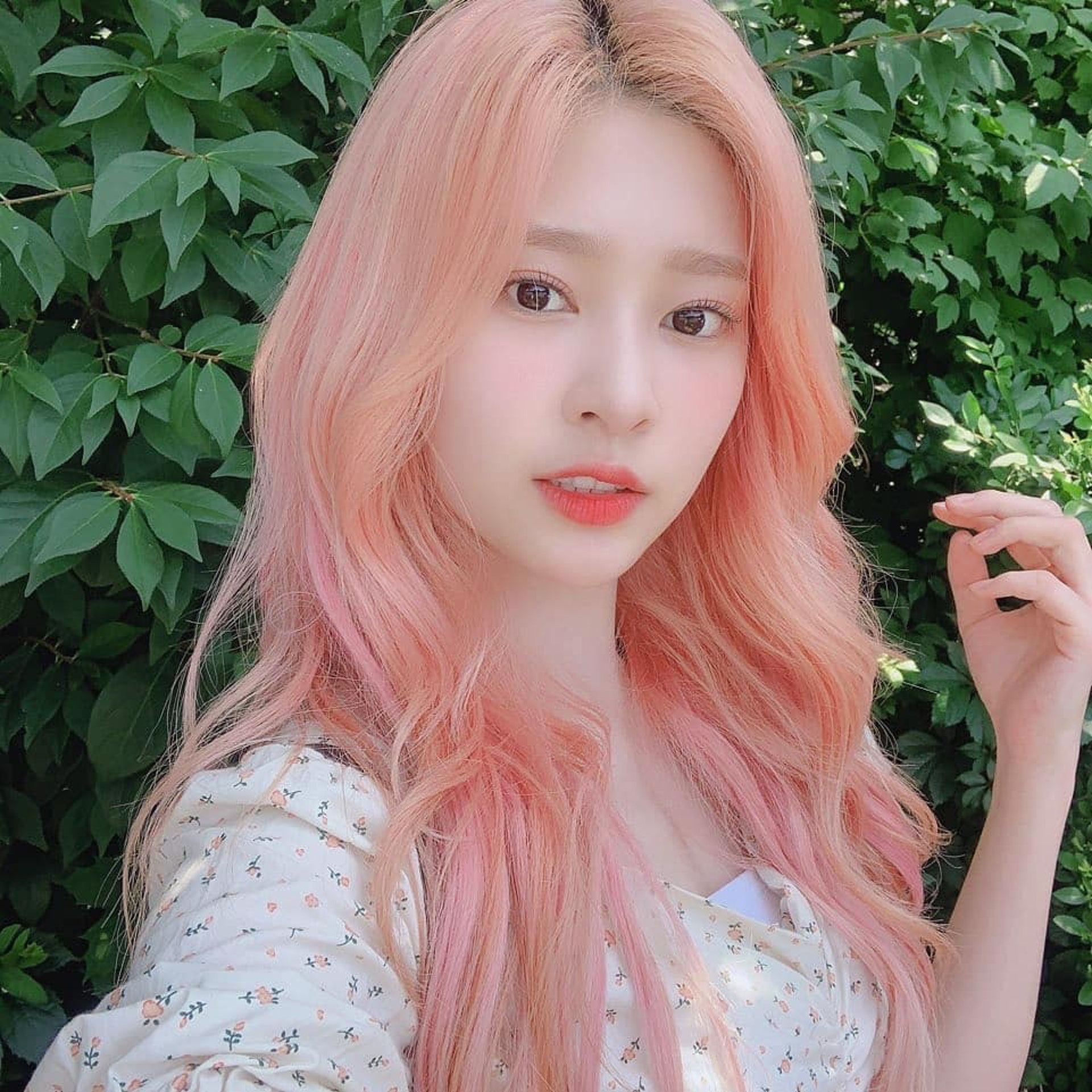太妍、IZ*ONE 玟周、ITZY 留眞都紛紛換上夢幻的櫻花粉色。(IG@official_izone) 太妍、IZ*ONE 玟周、ITZY 留眞都紛紛換上夢幻的櫻花粉色。(IG@official_izone)