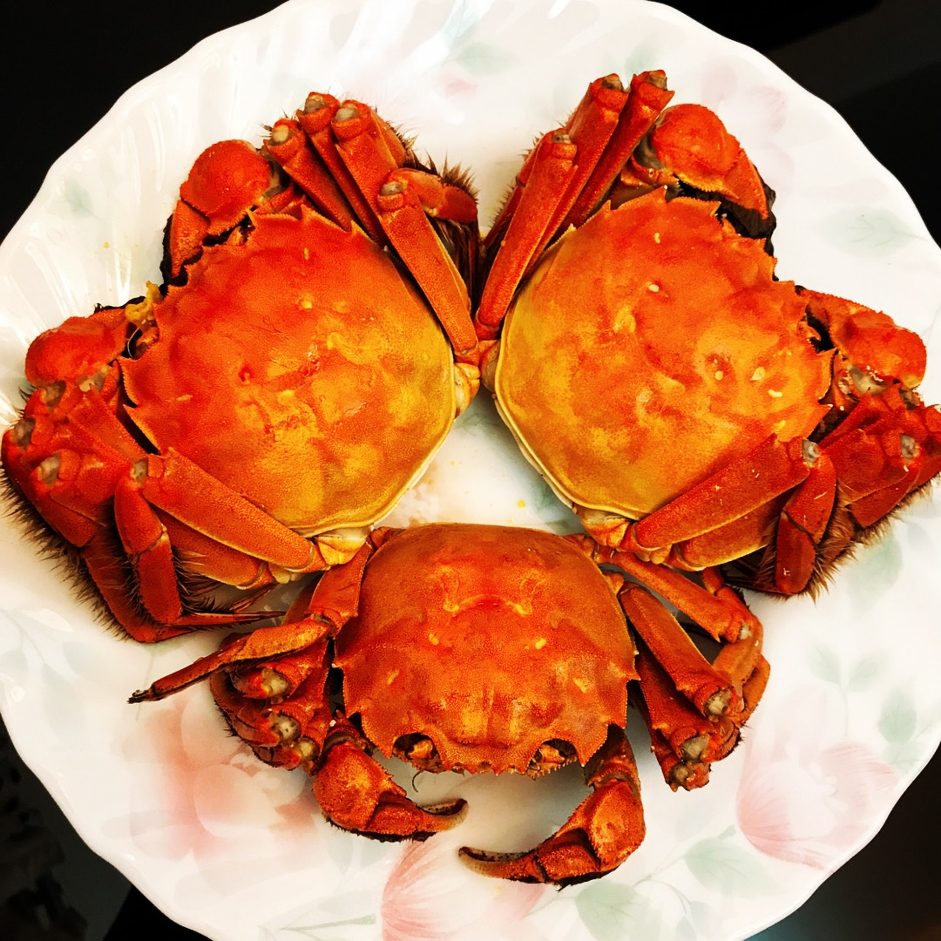 普遍使用隔水清蒸法,吃出蟹的原味。(圖片來源:IG@mrsfish523) 普遍使用隔水清蒸法,吃出蟹的原味。(圖片來源:IG@mrsfish523)