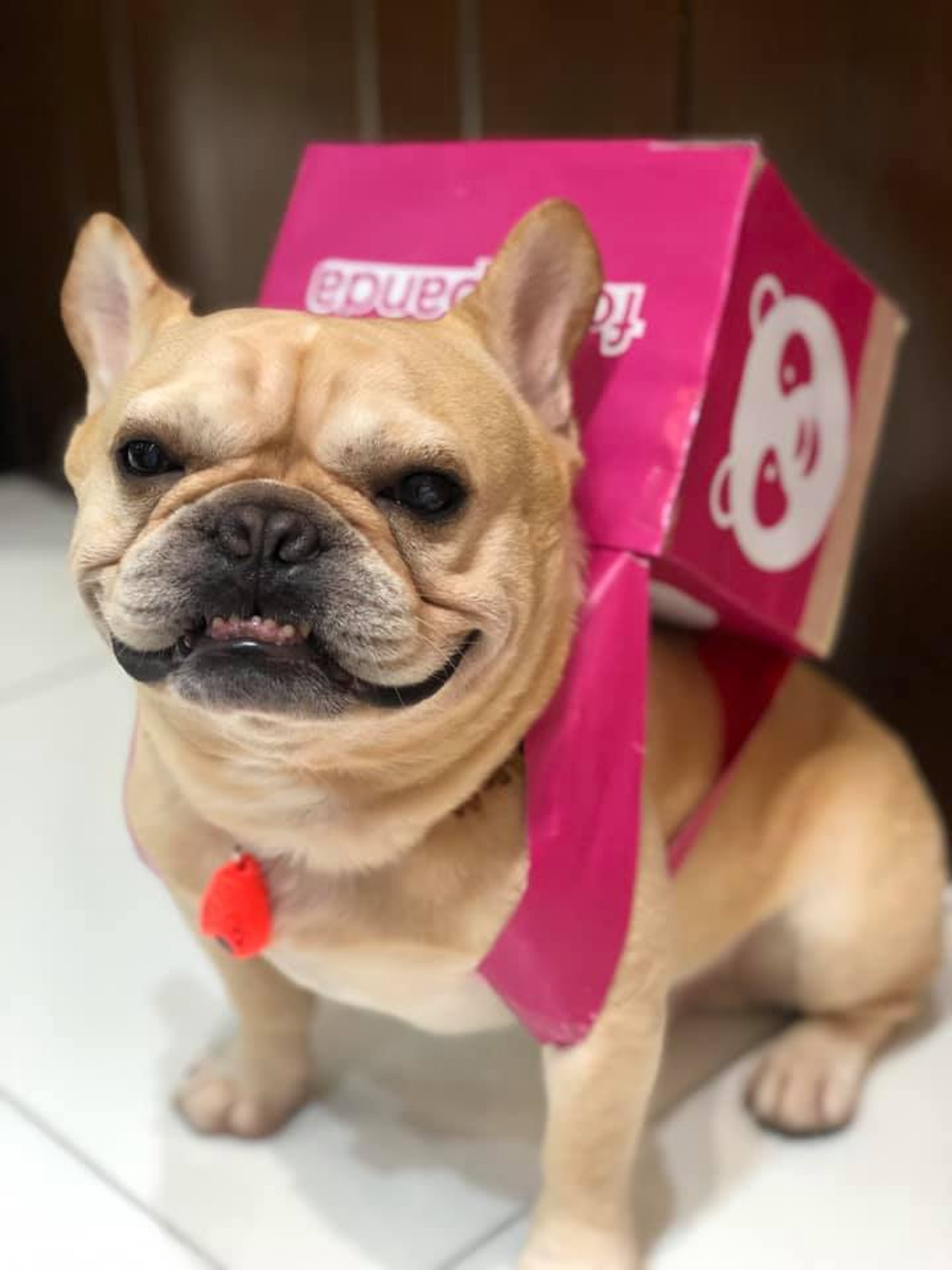 æ³åèèçæå
¨æ¸¯é¦ä½ççå¤è³£å