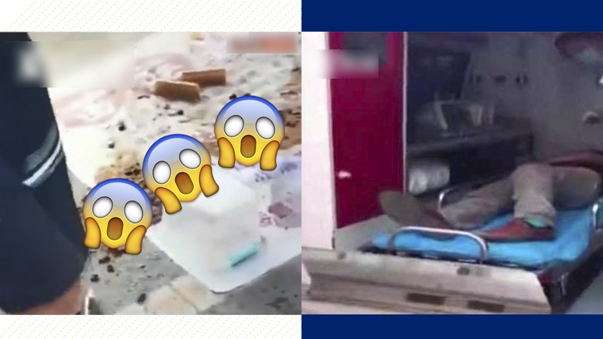 擺檔賣昆蟲酒疑被蠍子蜇傷　江蘇男當場昏迷　需人手逐隻鉗走