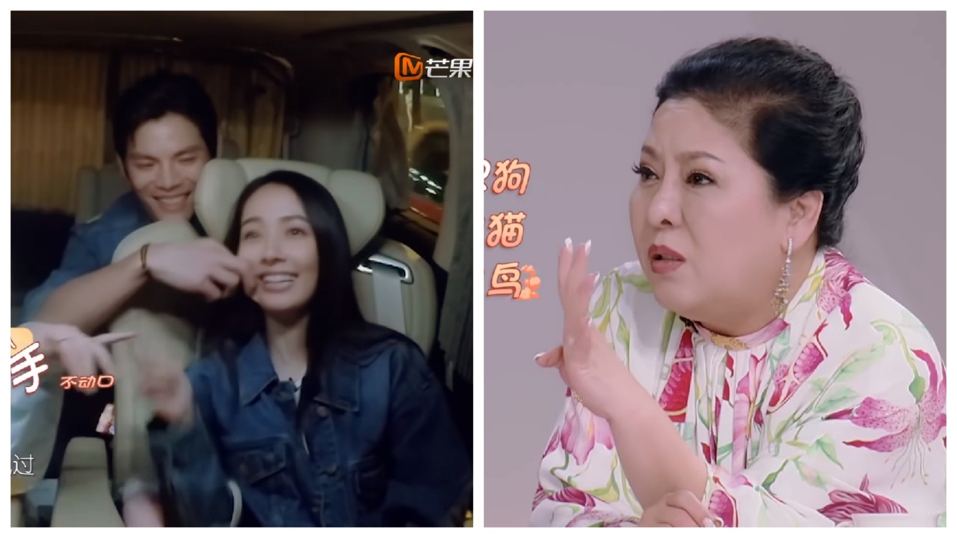 向佐要求郭碧婷棄養70隻寵物 向太霸氣出手解決分歧 向佐要求郭碧婷棄養70隻寵物 向太霸氣出手解決分歧