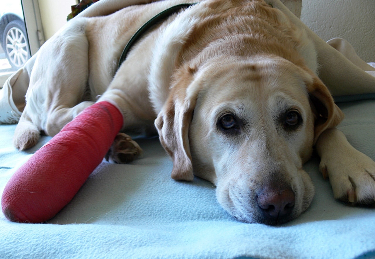 主要用於清潔傷口,或手術前清潔皮膚。(Getty Images) 主要用於清潔傷口,或手術前清潔皮膚。(Getty Images)