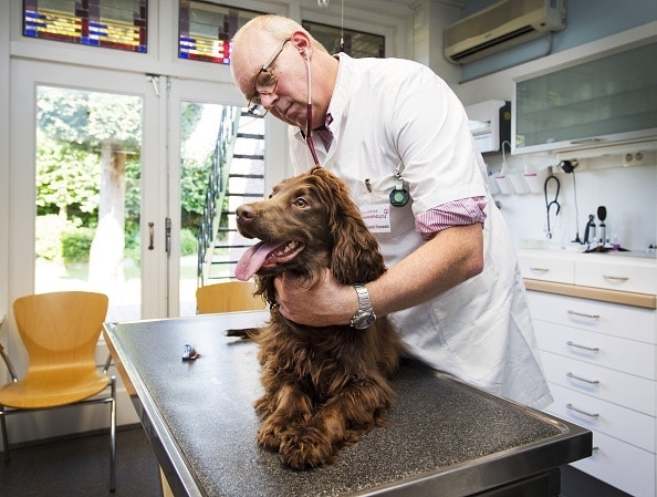 並非市面出售預先包裝並稀釋的版本。(Getty Images) 並非市面出售預先包裝並稀釋的版本。(Getty Images)