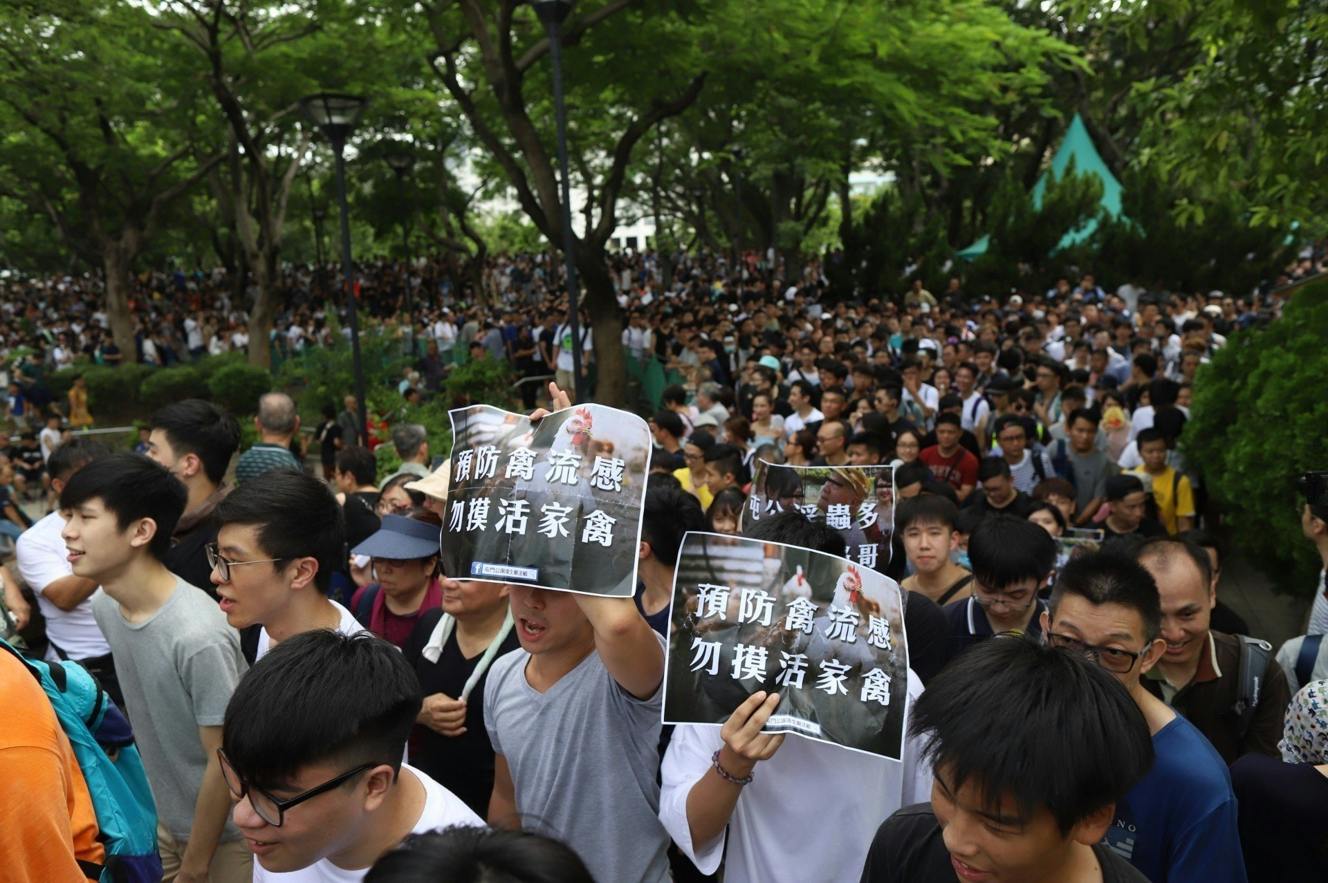 網民、屯門街坊於7月初曾發起「光復屯門公園」遊行,不滿被公園「大媽」表演滋擾。(羅君豪攝/資料圖片) 網民、屯門街坊於7月初曾發起「光復屯門公園」遊行,不滿被公園「大媽」表演滋擾。(羅君豪攝/資料圖片)