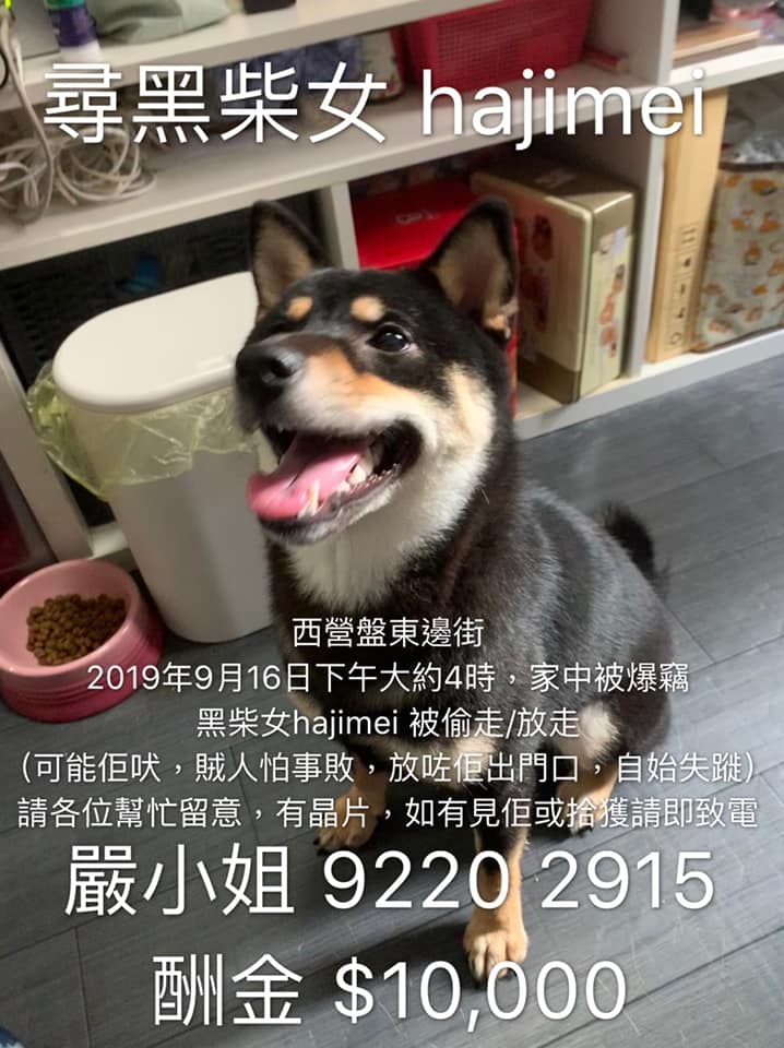 如找回Hajimei酬金港幣15,000元。(受訪者提供) 如找回Hajimei酬金港幣15,000元。(受訪者提供)
