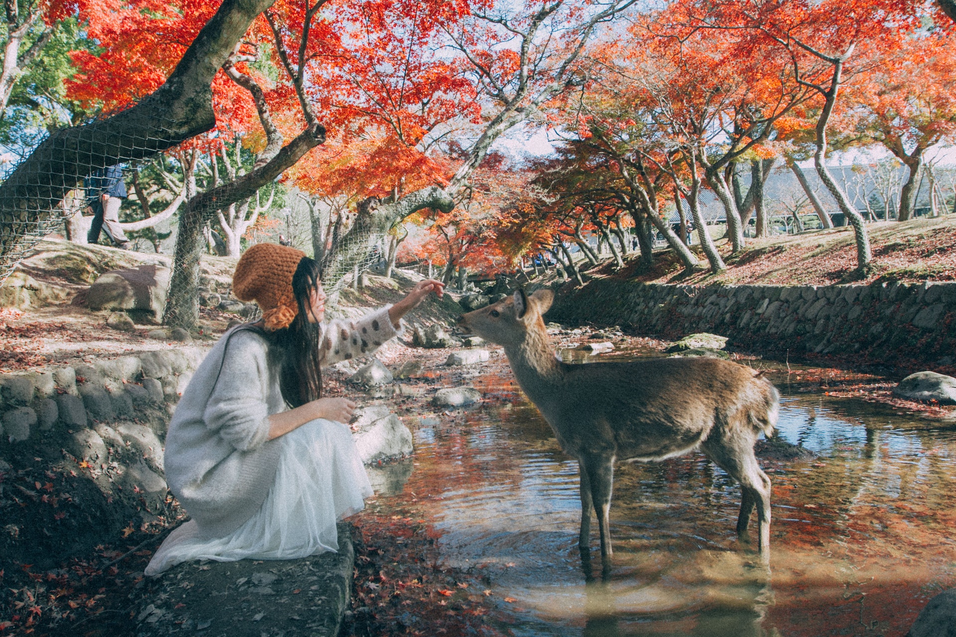 23歲的咏欣,與哥哥千紅憑著《關西風景》第一次參加攝影比賽,便獲大獎亞洲電子藝術節(職業組別)動畫部門大賞,更獲追加文部科學大臣賞。(受訪者提供) 23歲的咏欣,與哥哥千紅憑著《關西風景》第一次參加攝影比賽,便獲大獎亞洲電子藝術節(職業組別)動畫部門大賞,更獲追加文部科學大臣賞。(受訪者提供)