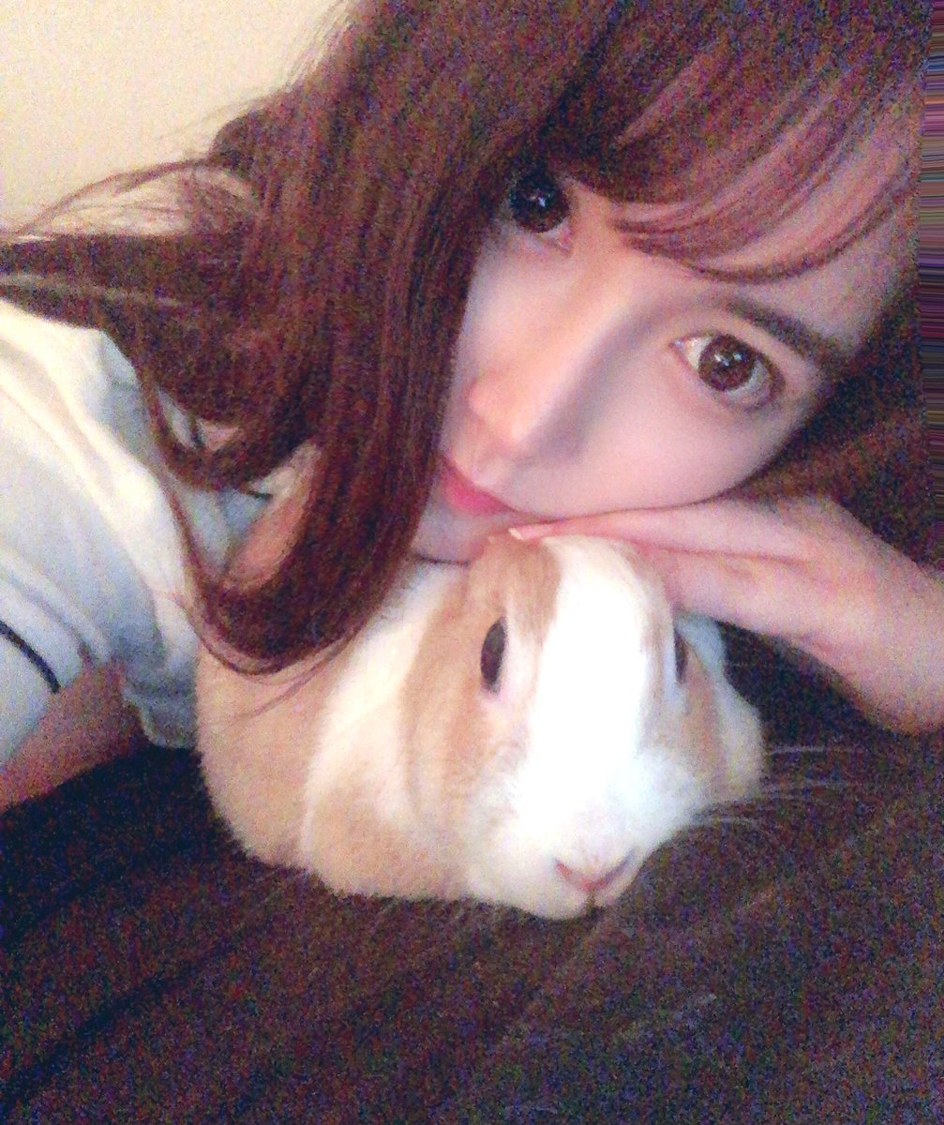 (Twitter@miu___miu___u) (Twitter@miu___miu___u)