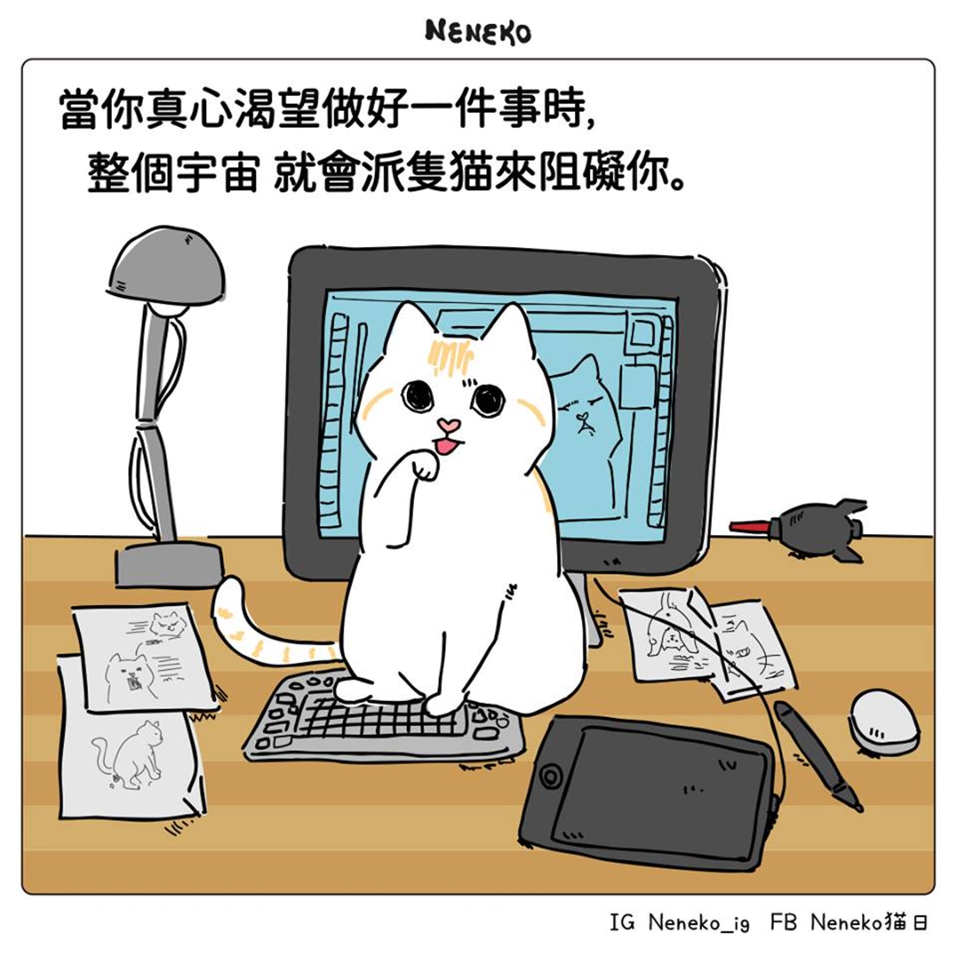 養貓共鳴 軟床被霸佔 擋電視畫面種貓奴日常生活體會 香港01 寵物 養貓共鳴 軟床被霸佔 擋電視畫面種貓奴日常生活體會 香港01 寵物