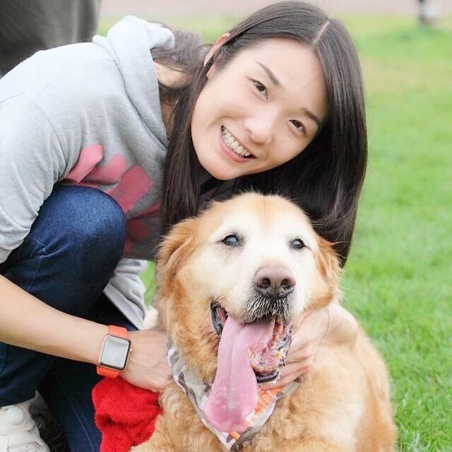 金毛尋回犬Oscar於2018年3月確診患上淋巴癌。 (Facebook圖片:肥豬Oscar,抗癌路上有媽媽!) 金毛尋回犬Oscar於2018年3月確診患上淋巴癌。 (Facebook圖片:肥豬Oscar,抗癌路上有媽媽!)