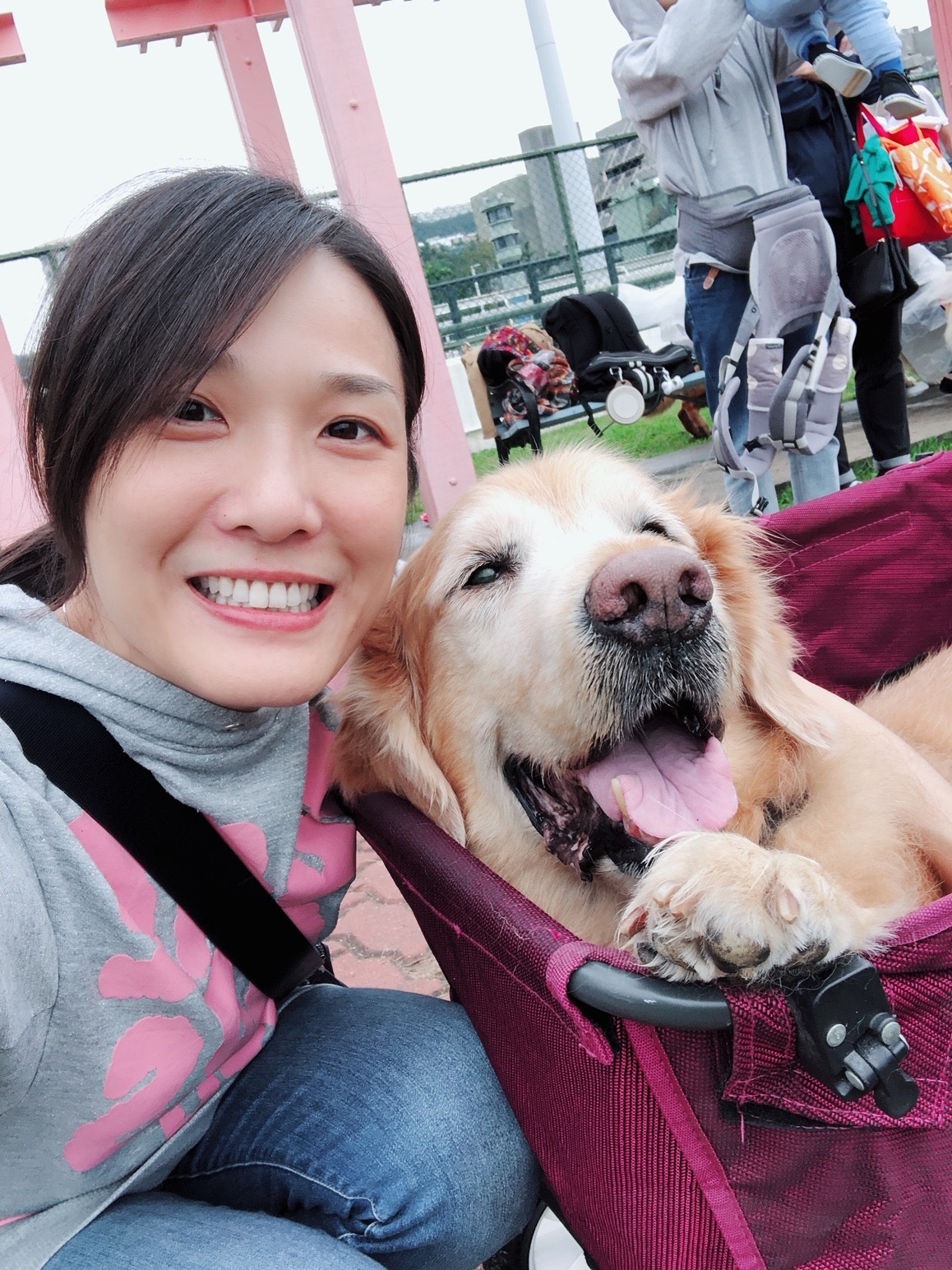 當時醫生宣布牠的壽命只剩下一個月。 (Facebook圖片:肥豬Oscar,抗癌路上有媽媽!) 當時醫生宣布牠的壽命只剩下一個月。 (Facebook圖片:肥豬Oscar,抗癌路上有媽媽!)