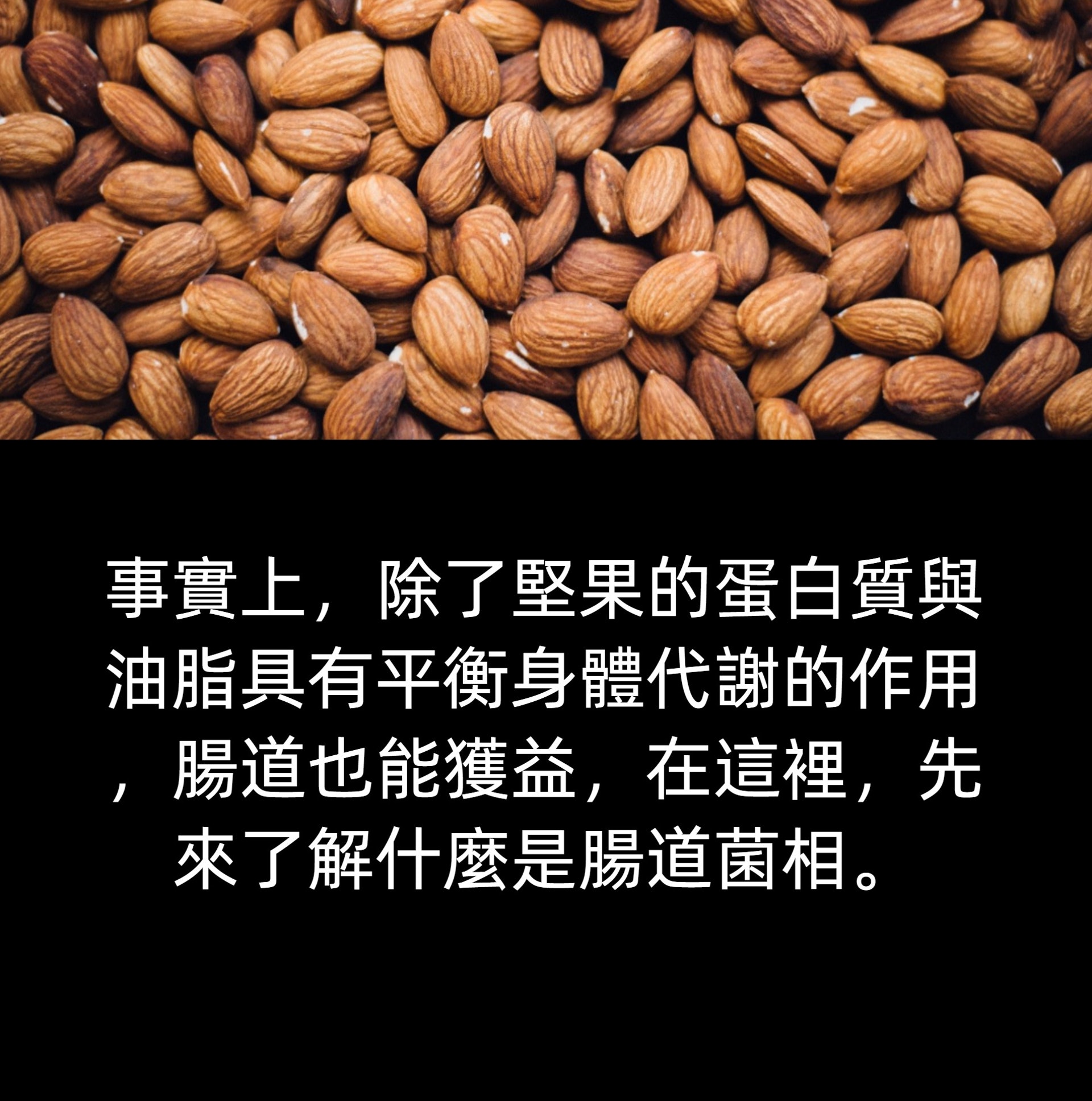 堅果營養價值(01製圖/背景圖:chuttersnap/Unsplash) 堅果營養價值(01製圖/背景圖:chuttersnap/Unsplash)