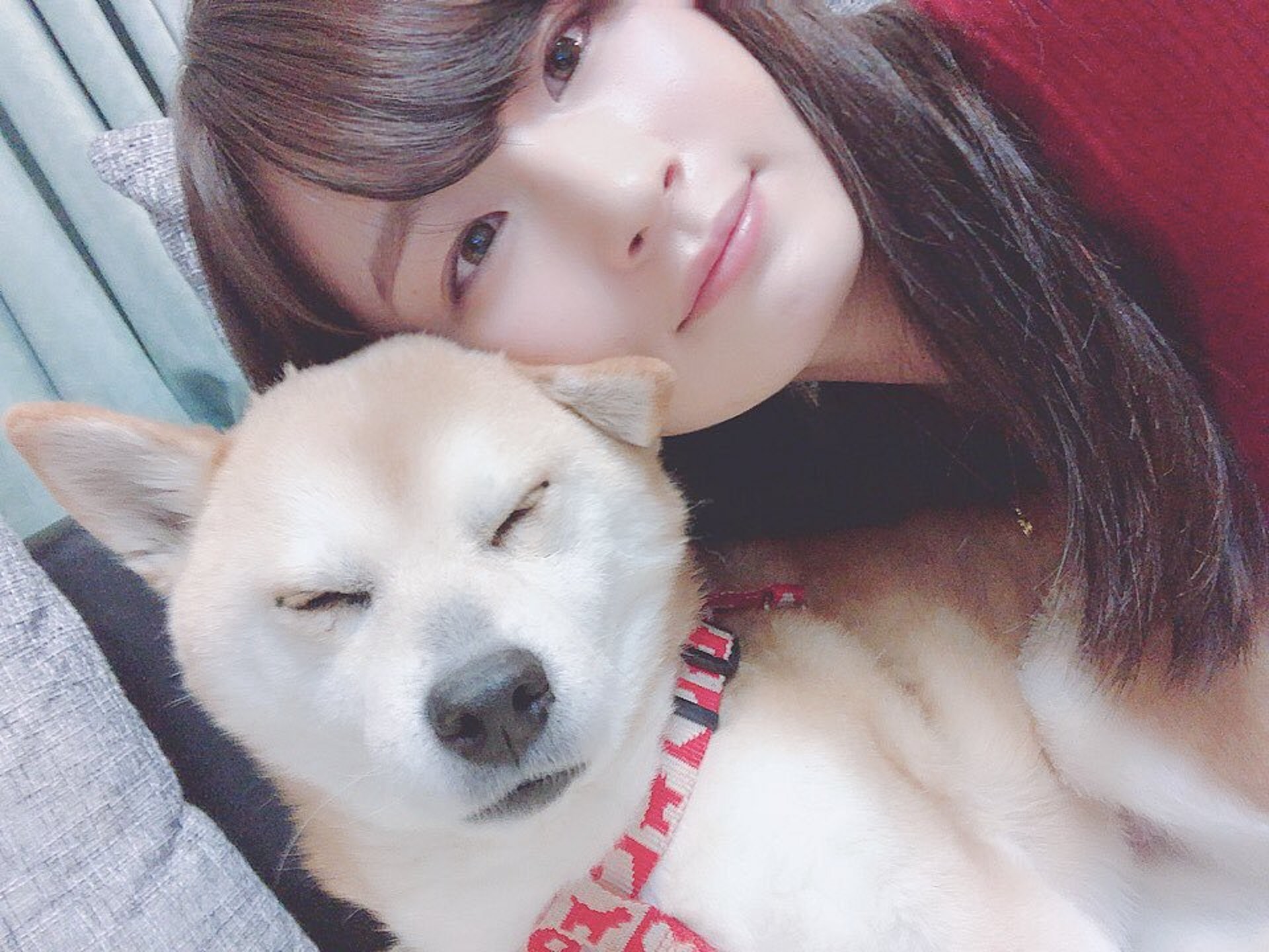 (Twitter@yuki_kiyose) (Twitter@yuki_kiyose)