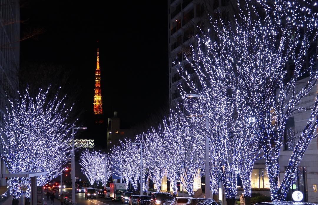 2019東京聖誕 12大睇燈飾攻略丸之內 六本木街道變銀河 香港01 旅遊