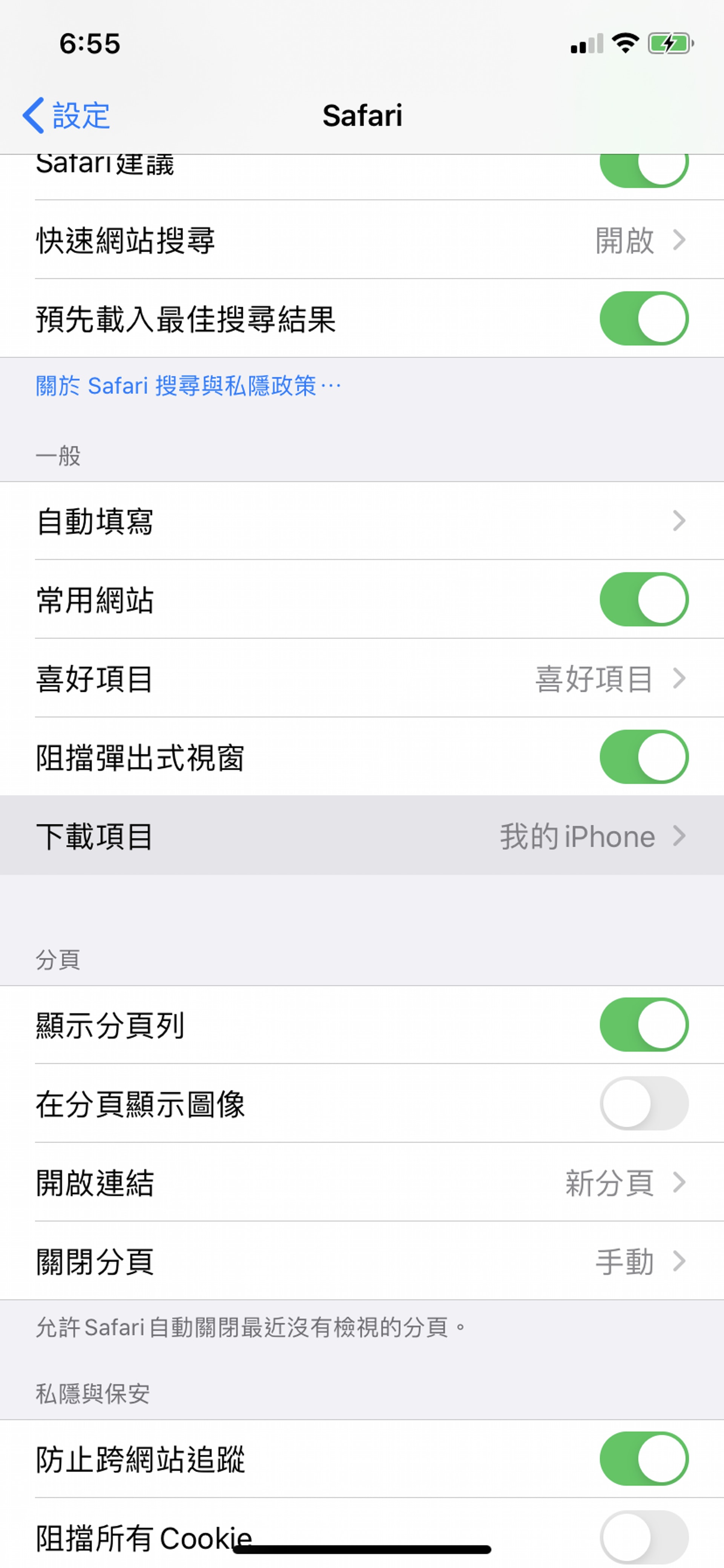 進入「Safari」設定頁後,點選「下載項目」。(iPhone XR擷圖) 進入「Safari」設定頁後,點選「下載項目」。(iPhone XR擷圖)