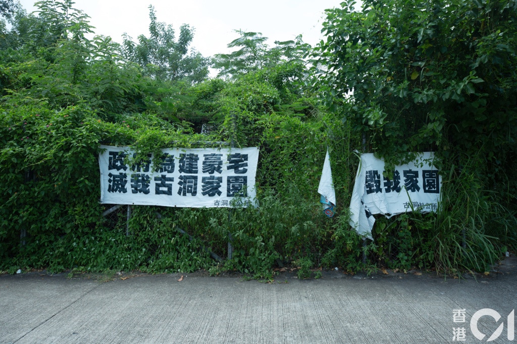 東北發展計劃醞釀十年,政府從未就鄉郊動物作任何統計,動物今後何去何從,一直不在政府的規劃當中。(黃舒慧攝) 東北發展計劃醞釀十年,政府從未就鄉郊動物作任何統計,動物今後何去何從,一直不在政府的規劃當中。(黃舒慧攝)