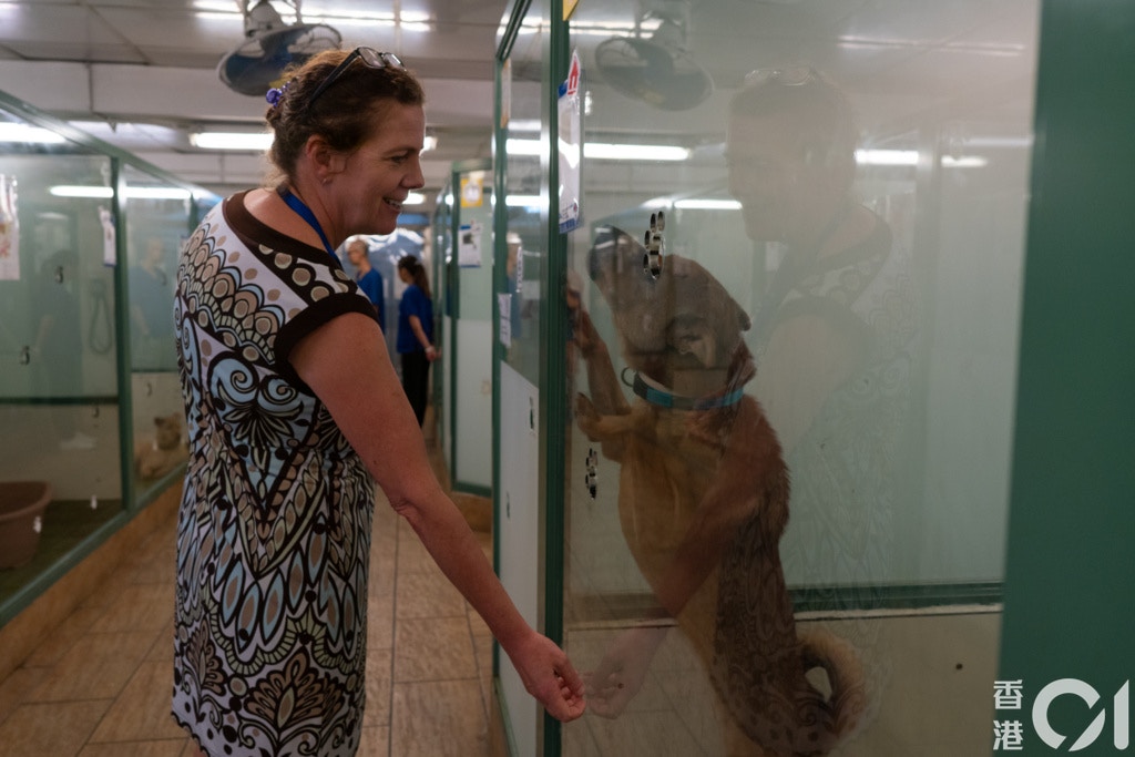 候安娜認為,現時政府安置鄉郊村民的最大問題,在於未有將人與動物當成家庭組合般看待。(高仲明攝) 候安娜認為,現時政府安置鄉郊村民的最大問題,在於未有將人與動物當成家庭組合般看待。(高仲明攝)