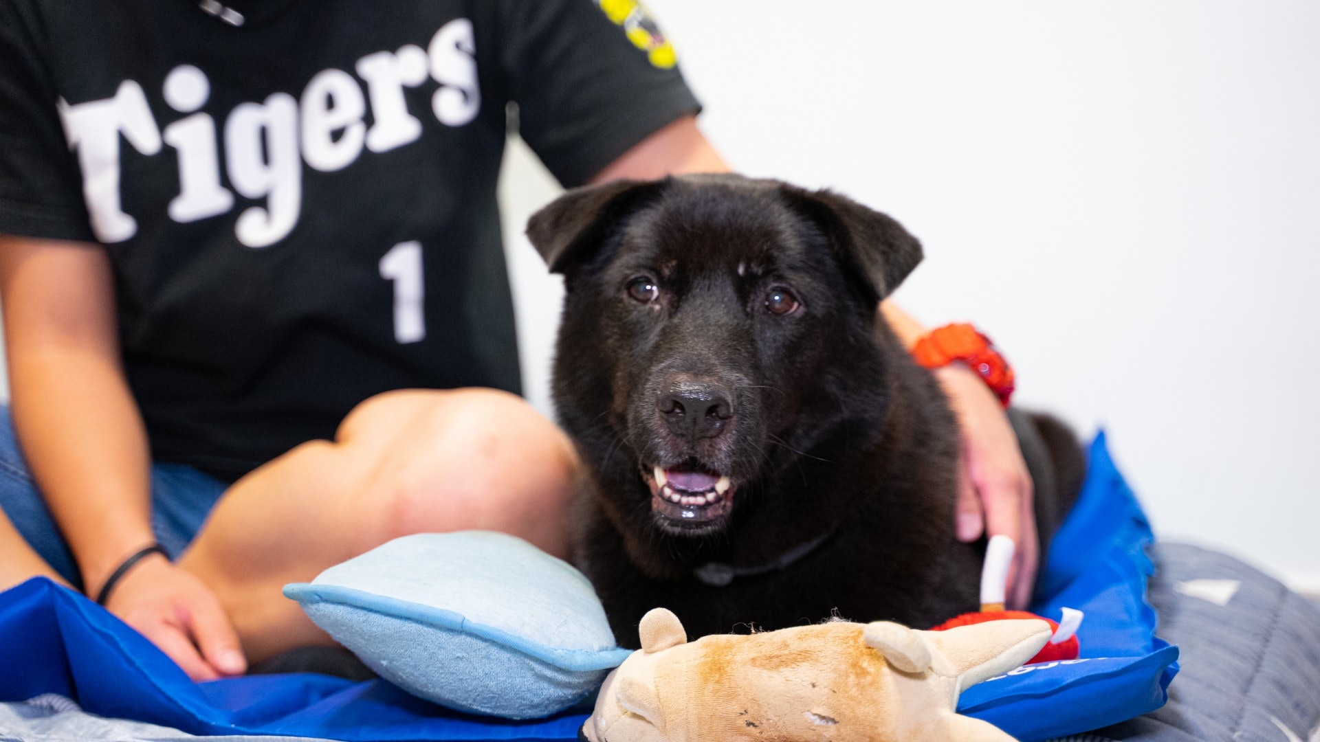 直至兩年前,她成功獲派公屋,她多次出入公立醫院及香港房屋委員會,前後周旋了一個月,才能成功為妹妹申請「狗牌」。(吳嘉俊) 直至兩年前,她成功獲派公屋,她多次出入公立醫院及香港房屋委員會,前後周旋了一個月,才能成功為妹妹申請「狗牌」。(吳嘉俊)
