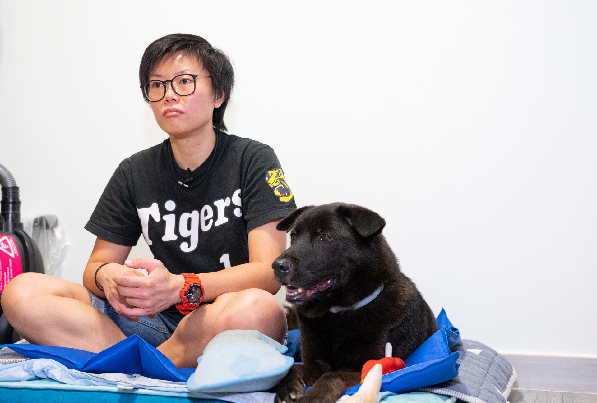 最令她難堪的,莫過於醫生需要在信函裏強調,她的病情有必須飼養伴侶犬。(吳嘉俊) 最令她難堪的,莫過於醫生需要在信函裏強調,她的病情有必須飼養伴侶犬。(吳嘉俊)