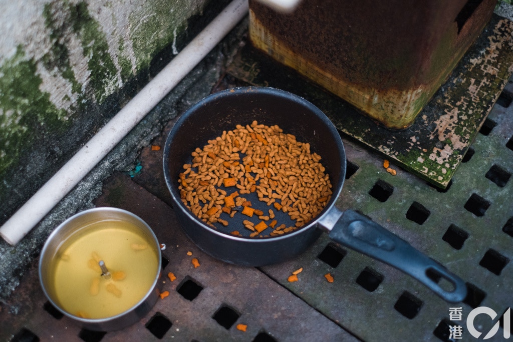 有人在小巷地上擺放了貓糧,葉漢華形容那是「貓餐廳」。(歐嘉樂攝) 有人在小巷地上擺放了貓糧,葉漢華形容那是「貓餐廳」。(歐嘉樂攝)