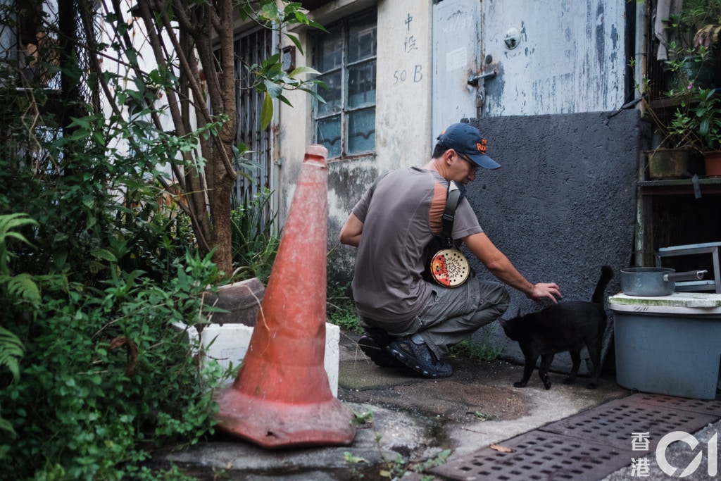 葉漢華坦言市區並不是適合鄉郊動物居住的地方,促請政府制訂妥善的動物安置方案。(歐嘉樂攝) 葉漢華坦言市區並不是適合鄉郊動物居住的地方,促請政府制訂妥善的動物安置方案。(歐嘉樂攝)