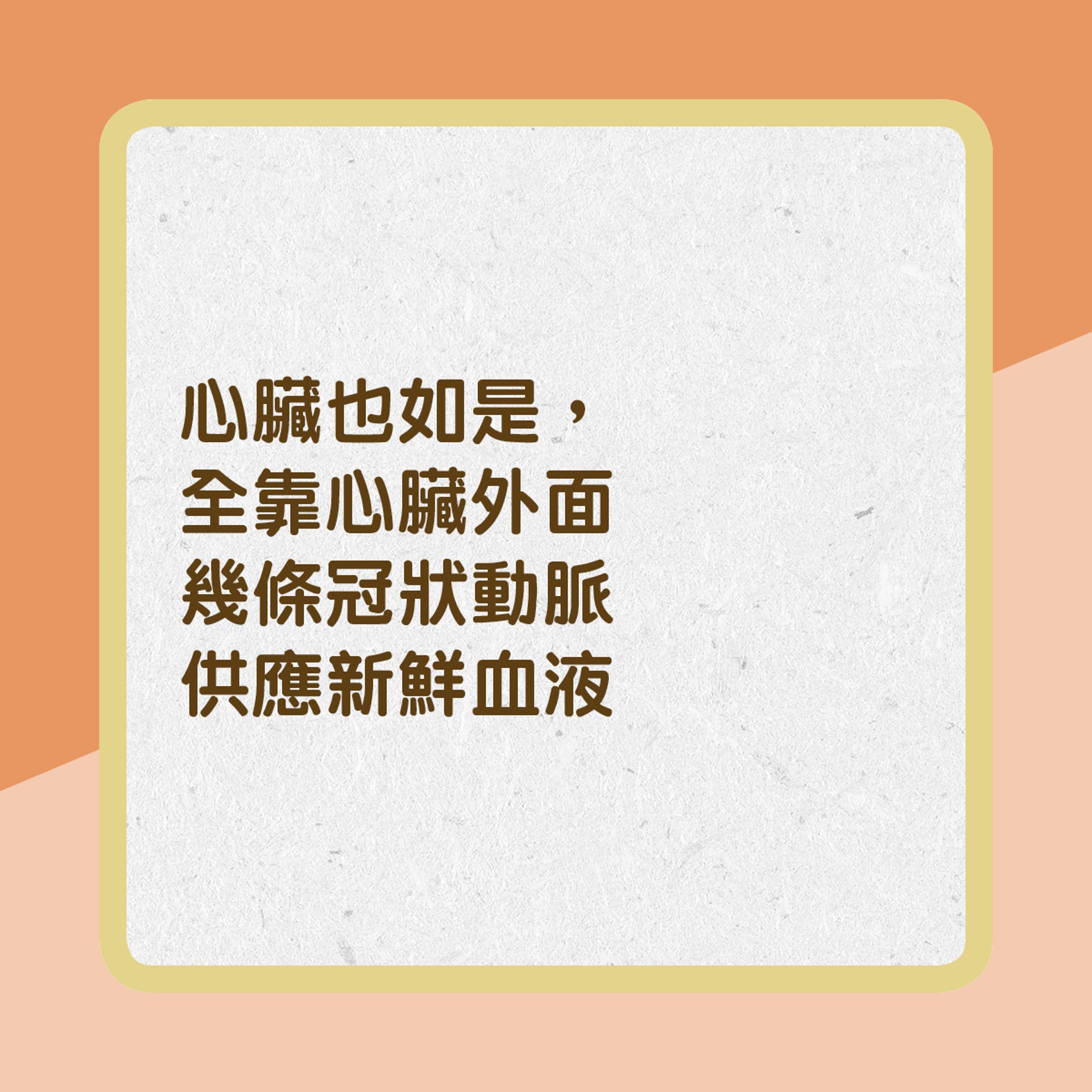 【冠心病成因】5. 心臟也如是，全靠心臟外面幾條冠狀動脈供應新鮮血液。﹙01製圖﹚