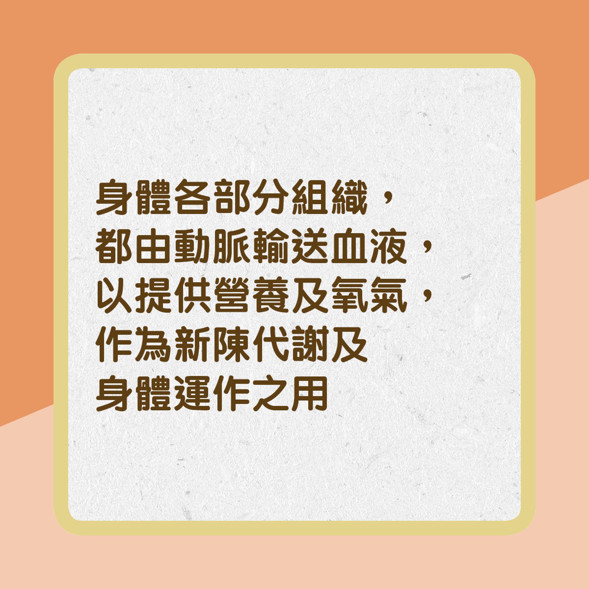 【冠心病成因】４4. 身體各部分組織，都由動脈輸送血液，以提供營養及氧氣，作為新陳代謝及身體運作之用。﹙01製圖﹚