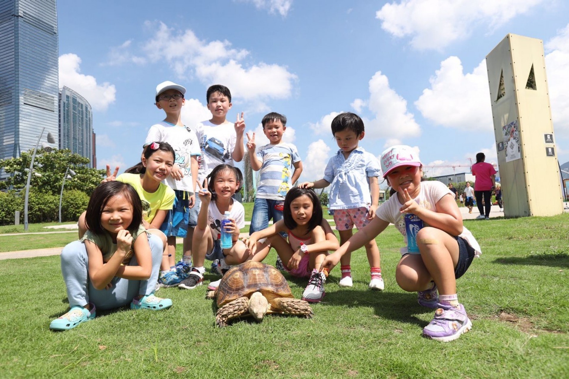 龜龜也可以在草地散步。(西九文化區) 龜龜也可以在草地散步。(西九文化區)