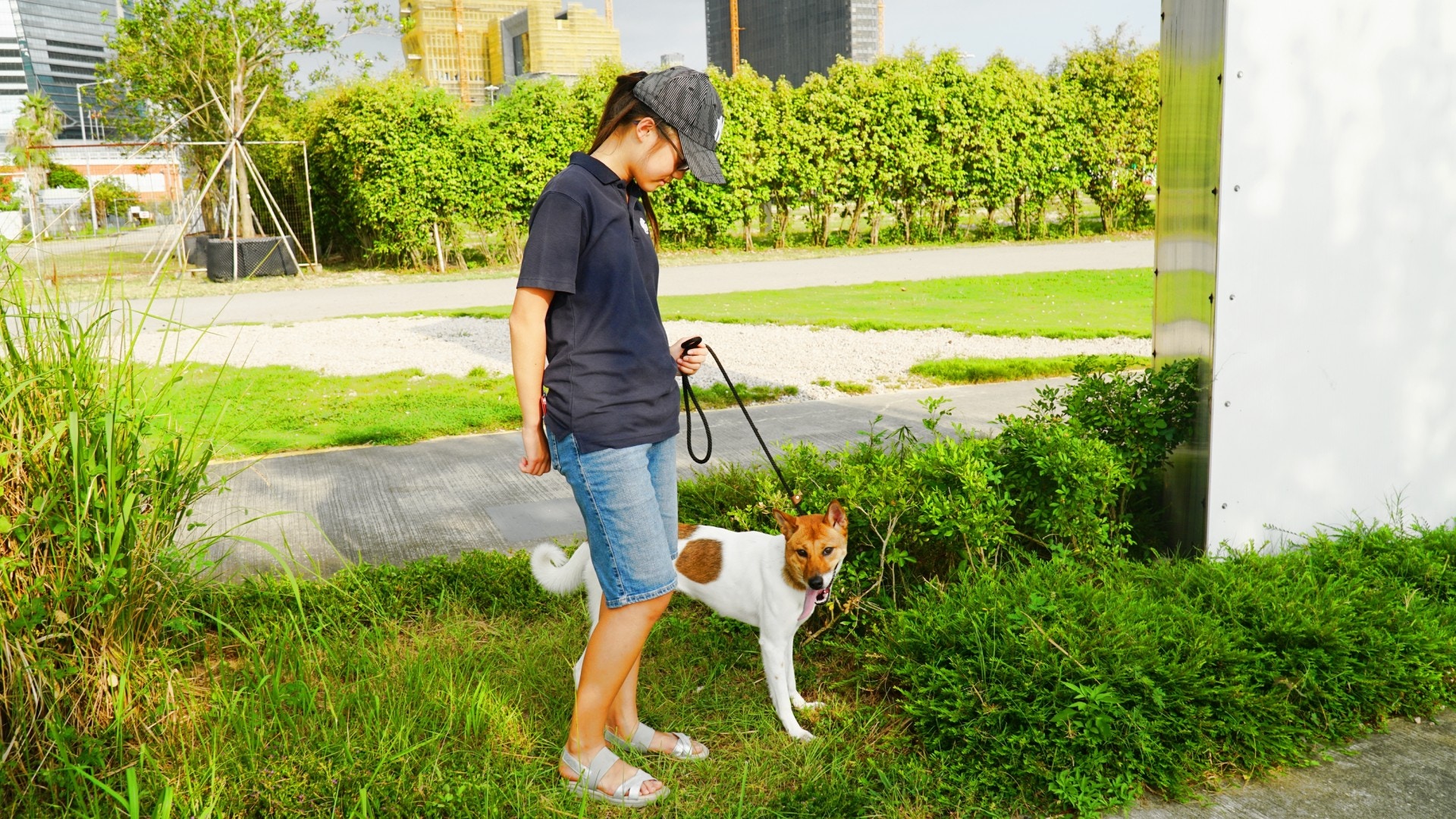 狗狗在寵物區外，需要牽上狗繩。（胡巧欣攝）