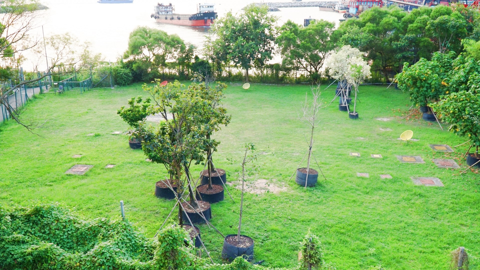 寵物區全區都是草地，可惜滅蟲措施不足，狗主宜噴蚊怕水。 （胡巧欣攝）