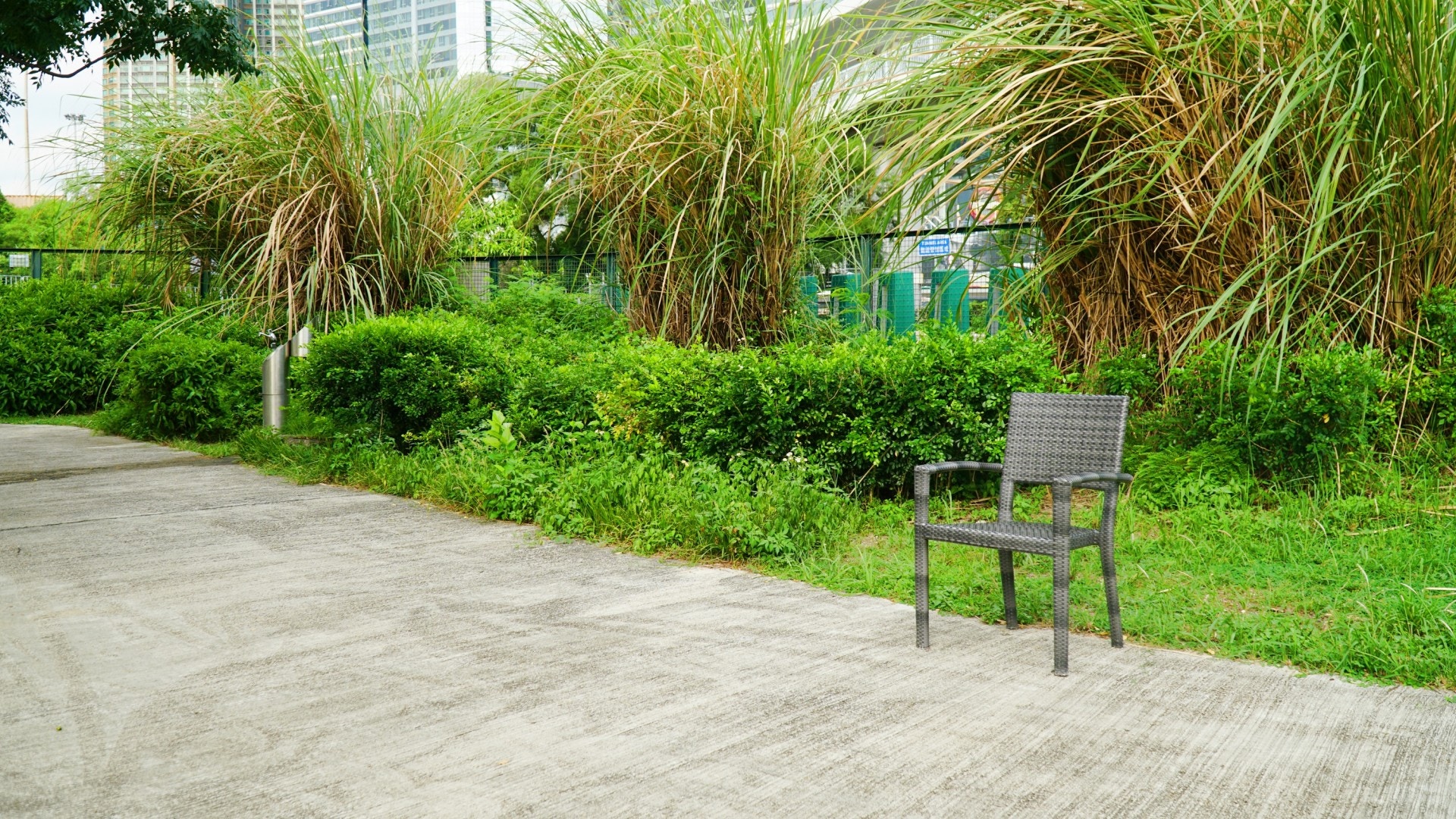 寵物區偶有幾張椅子供狗主休息之用。 （胡巧欣攝）