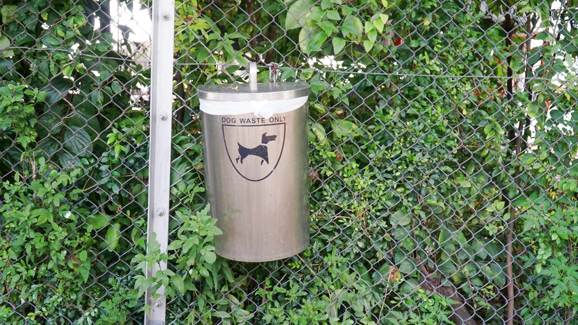 只有少量狗糞收集箱，並沒有其他寵物專屬的設備。 （胡巧欣攝）